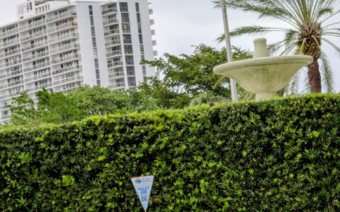 Lock_and_AmericanFlag